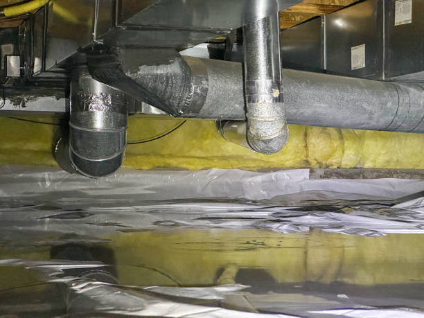 Best 24/7 water damage repair  in Oaklyn, NJ